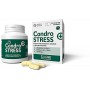 CONDROSTRESS+ 60 COMPRESSE MASTICABILI