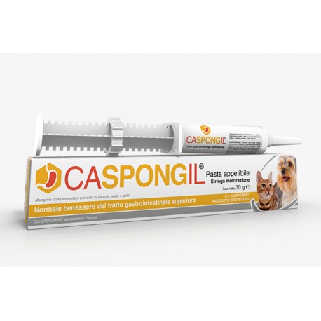 Caspongil pasta 30 g