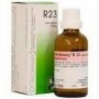 RECKEWEG R23 GOCCE 22 ML